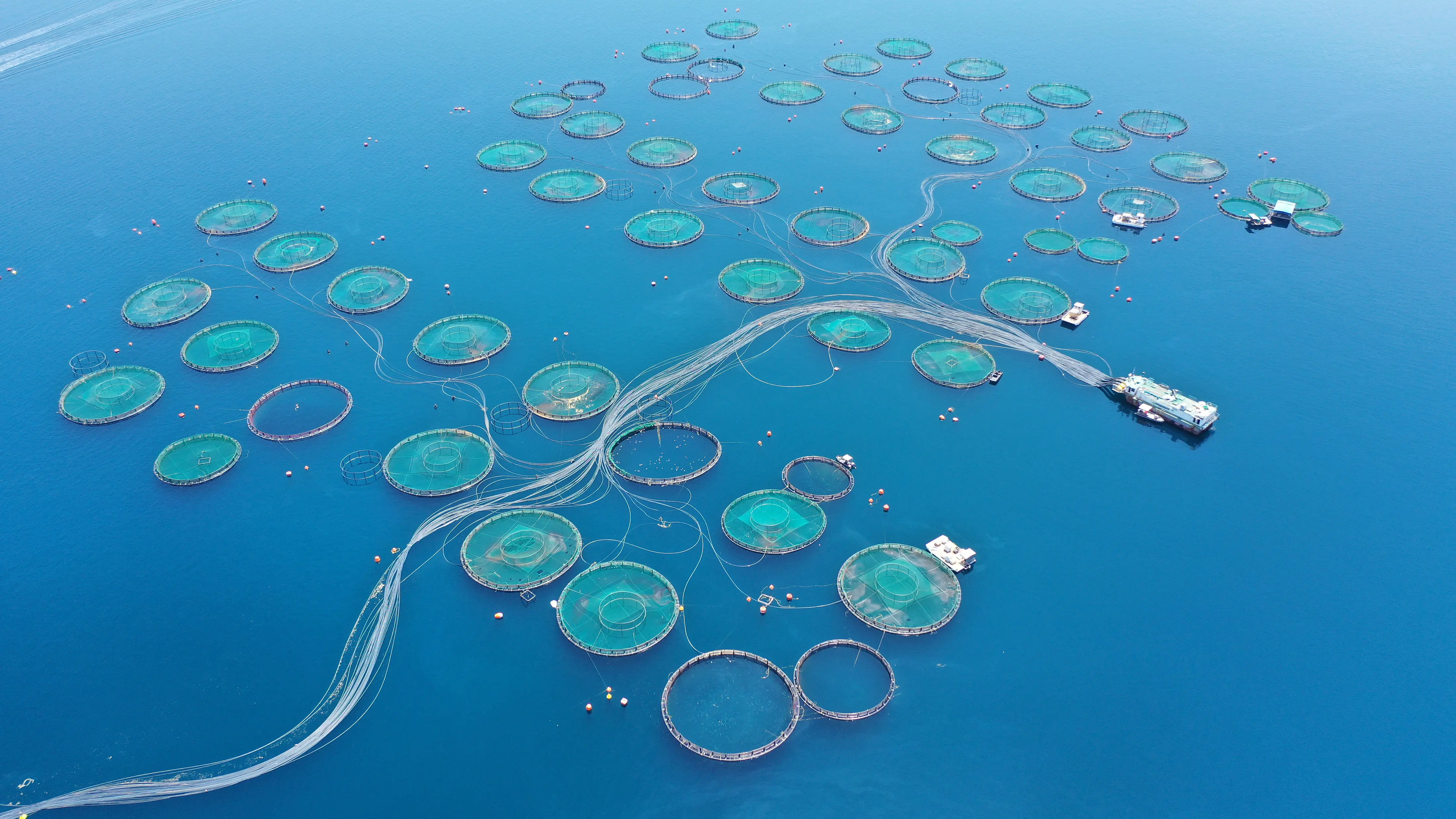 Maritime and fisheries organisations 