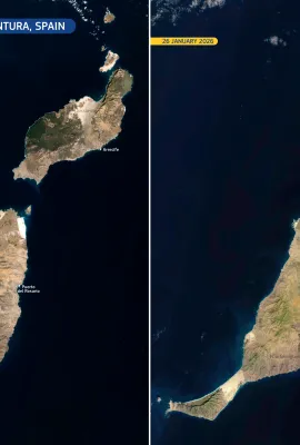 Lanzarote and Fuerteventura turn green after above record precipitation, Spain