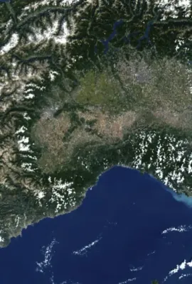 Copernicus on the Job – Forestry