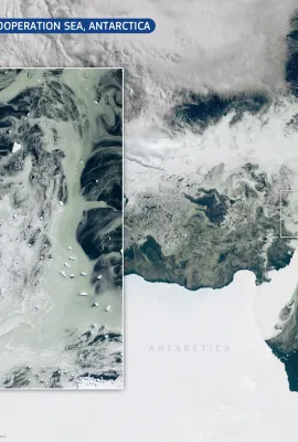 Greenish Sea Ice in the Cooperation Sea, Eastern Antarctica