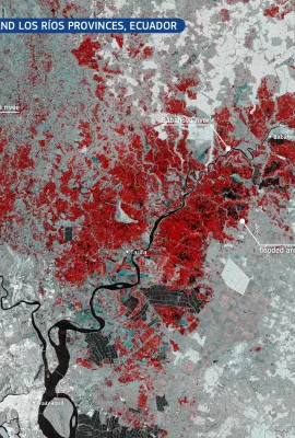 Flooding in the Guayas and Los Ríos Provinces, Ecuador