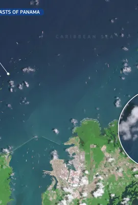 Sargassum along the coasts of Panama