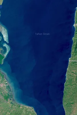 Seagrass meadows of Tañon Strait, Philippines