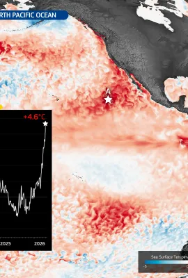 Marine heatwave affecting the North Atlantic Ocean