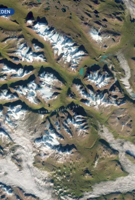 Sarek