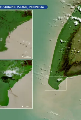 Indonesia mangroves