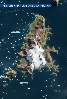 Signy and Moe island