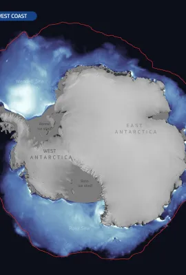 Sea Ice Bellinghausen