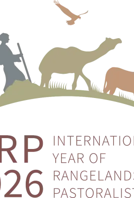 Logo for the International Year of Rangelands and Pastoralists (IYRP) 2026. Silhouettes of pastoralist people and grazing animals—including goats, a camel, cattle, and a deer—walk across a curved rangeland landscape beneath a flying bird. The text below reads: “IYRP 2026 – International Year of Rangelands and Pastoralists.”
