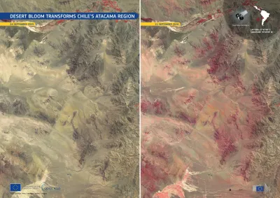 Sentinel-2 images of Atacama Region in Chile before and after the bloom