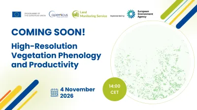 Vegetation phenology and productivity across scales