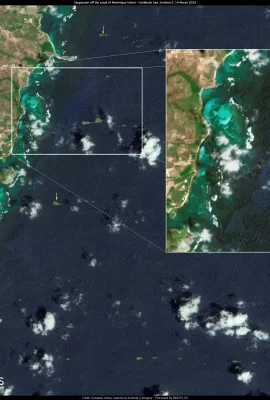 Massive sargassum bloom in the Atlantic Ocean