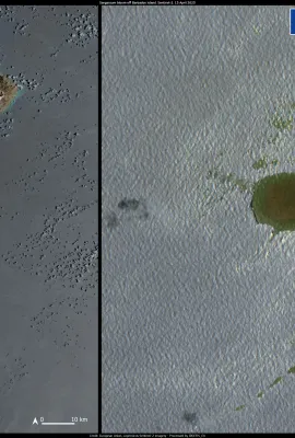 New image of the sargassum mat in the Caribbean Sea