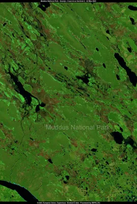 The Muddus National Park in Sweden