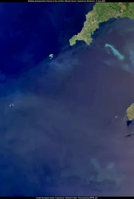 Phytoplankton blooms in the northern Atlantic Ocean