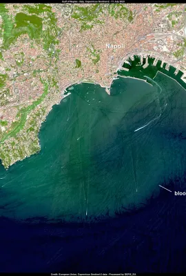 Phytoplankton bloom in the Napoli Gulf