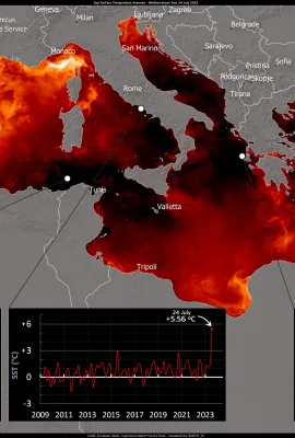 Record Temperatures in the Mediterranean Sea in July