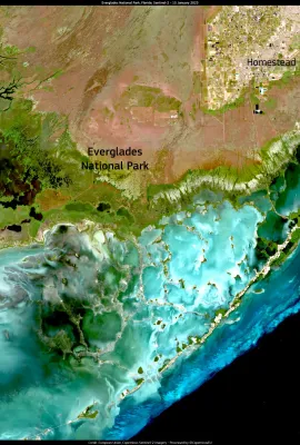 Everglades National Park on World Migratory Bird Day