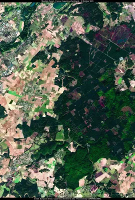 Moulière forest (France), an experiment in climate change adaptation