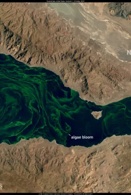Algae bloom in Pyramid Lake