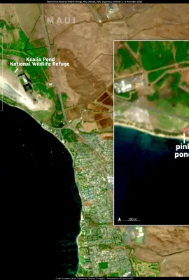 Pink Transformation: The Recent Phenomenon of a Brightly-Hued Pond in Maui