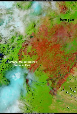 Fires are again affecting the Pantanal
