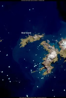 Recent bird flu burst in the Antarctic Islands