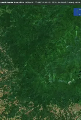 Monteverde Cloud Forest Reserve