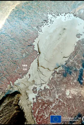 The Bothnian Bay, frozen earlier than usual