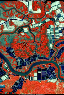 The Delta del Estero Real, an oasis of biodiversity