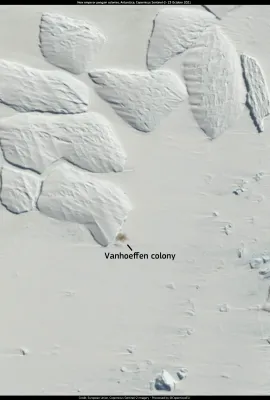 Using Copernicus imagery to locate penguin breeding colonies