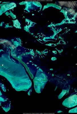 Extensive bleaching in the Great Barrier Reef