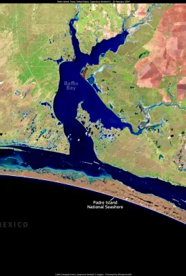 Gulf of Mexico Seagrass Under Threat