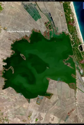 Record-breaking number of bird nesting pairs in Eastern Spain