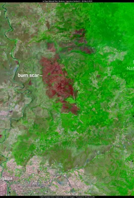 Wildfire in La Tigra National Park