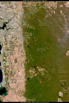 Australian eucalypt forests impacted by drought