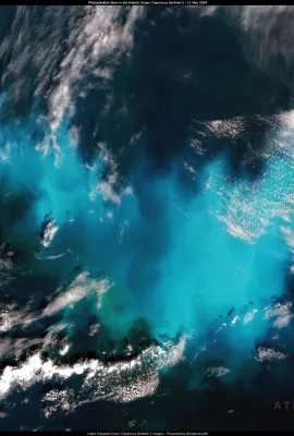 Large phytoplankton bloom in the Atlantic Ocean