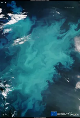 Phytoplankton Bloom in the Barents Sea