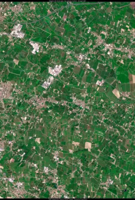 Vineyards in the Veneto region of Italy