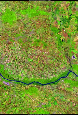 Agriculture in Austria and Slovakia