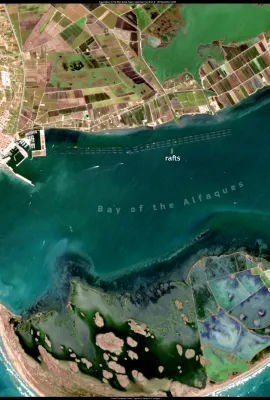 Aquaculture in the Ebro Delta, Spain