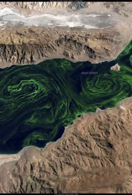 Algal bloom in Lake Pyramid, USA