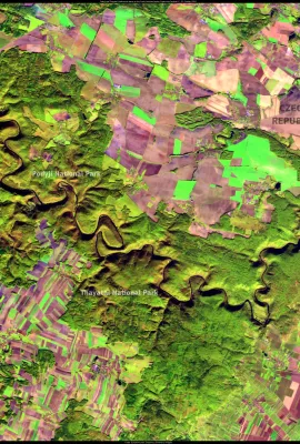 Podyjí and Thayatal: Biodiversity Gems on the Czech-Austrian Border