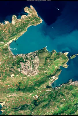 Protecting Malta’s birdlife