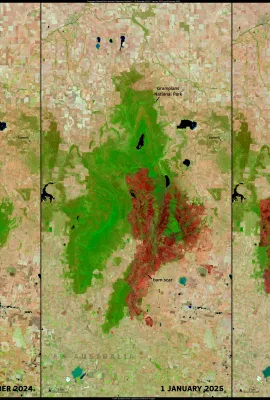 Devastating bushfires in the Grampians National Park, Australia