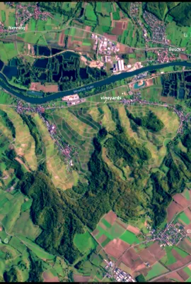 The Moselle wine-growing region, Germany and Luxembourg