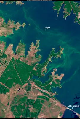 Algal bloom in Lake Salto Grande, Argentina