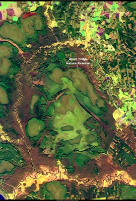 Restoring wooded meadows in Estonia