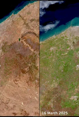 Resurgence in vegetation after recent rainfall in Morocco