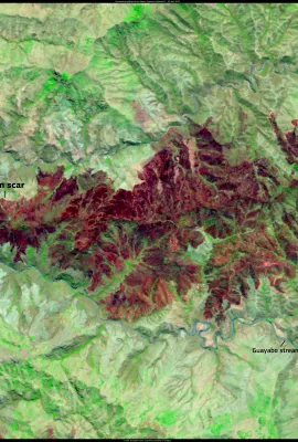 Devastating wildfires across Mexico
